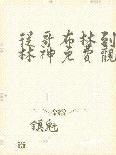 从哥布林到哥布林神免费观看