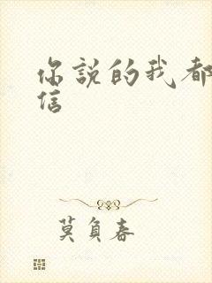 你说的我都会相信