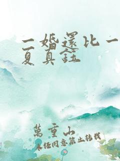 一婚还比一婚高夏真钰