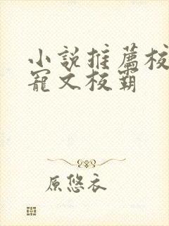 小说推荐校园甜宠文校霸