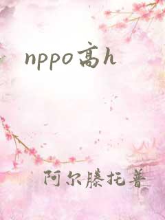 nppo高h