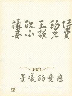 摄政王的侍爱逃妻小说免费阅读