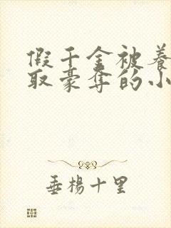 假千金被养父强取豪夺的小说