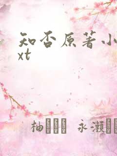 知否原著小说txt