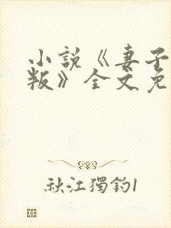 小说《妻子的背叛》全文免费阅读