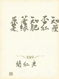 原著知否知否应是绿肥红瘦小说
