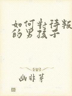 如何对待叛逆期的男孩子