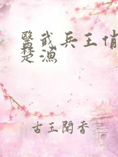 医武兵王俏总裁楚渔