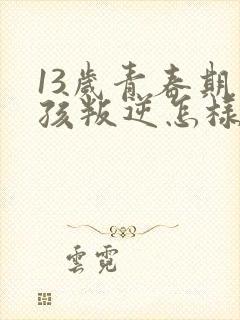 13岁青春期男孩叛逆怎样引导