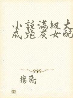 小说满级大佬穿成炮灰女配