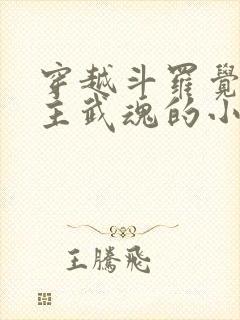 穿越斗罗觉醒圣主武魂的小说