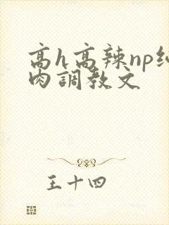 高h高辣np纯肉调教文
