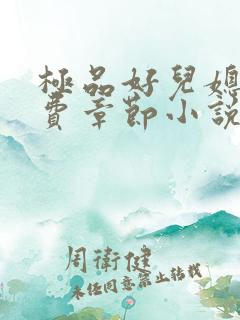 极品好儿媳的免费章节小说全文阅读