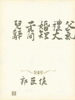 儿子婚礼父亲致辞简短大气讲话稿