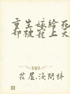 重生嫁给死对头却被宠上天短剧资源