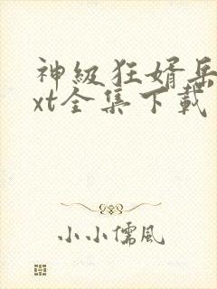 神级狂婿岳风txt全集下载