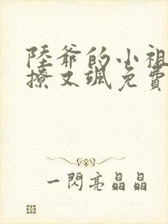 陆爷的小祖宗又撩又飒免费阅