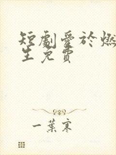 短剧爱于燃尽新生免费