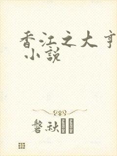 香江之大亨崛起 小说