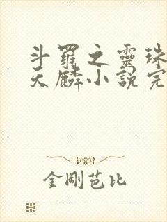 斗罗之灵珠神剑天麟小说完整版下载txt