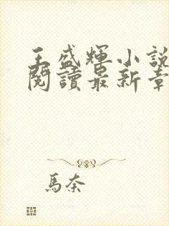 王盛辉小说免费阅读最新章节更新