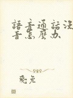 语音通话没有声音怎么办