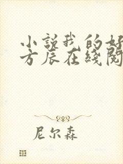 小说我的好女婿方辰在线阅读