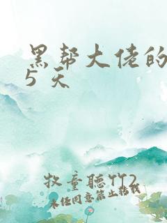 黑帮大佬的365 天