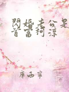 闪婚老公是千亿首富柯淳