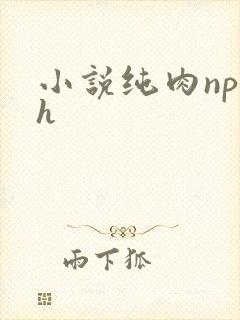 小说纯肉np高h