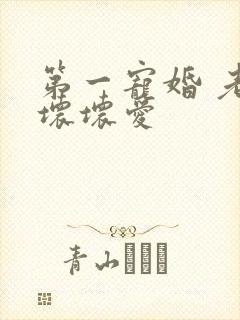 第一宠婚 老公坏坏爱