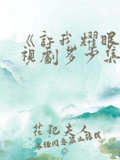 《许我耀眼》电视剧多少集