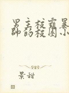 男主校霸暴戾痞帅的校园小甜文