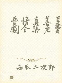 爱情真善美电视剧全集免费观看