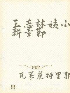 王志林姨小说最新章节