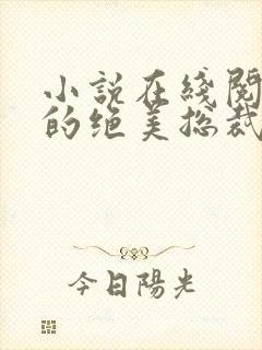 小说在线阅读我的绝美总裁老婆