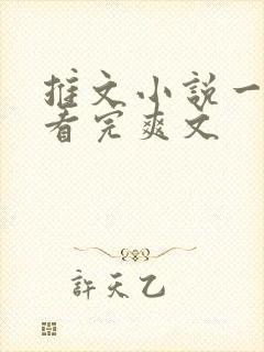 推文小说一口气看完爽文