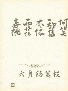 春面不知何处去桃花依旧笑春风