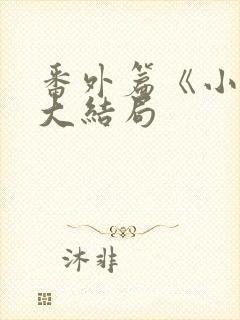 番外篇《小莹》大结局