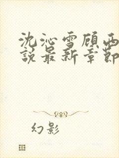 沈沁雪顾西朝小说最新章节免费阅读