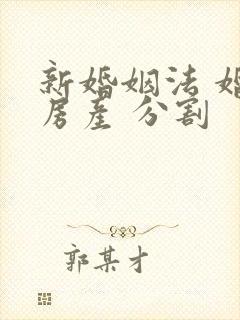 新婚姻法 婚前房产 分割