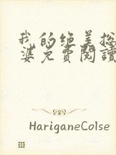 我的绝美总裁老婆免费阅读全