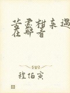 苦尽柑来遇见你在哪看