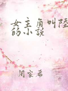 女主角叫陆清欢的小说