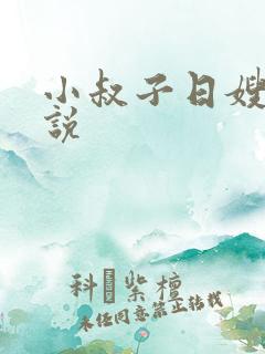 小叔子日嫂子小说