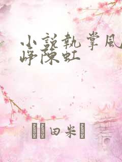 小说执掌风云萧峥陈虹