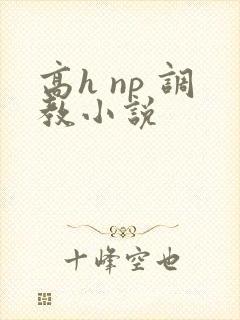 高h np 调教小说