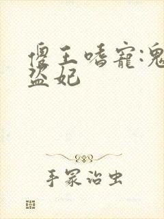 傻王嗜宠:鬼医盗妃