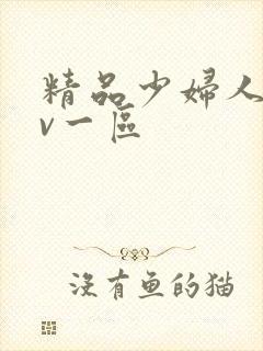 精品少妇人妻av一区