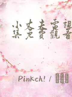 小丈夫电视剧全集免费观看完整版